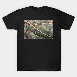 Organic Decay T-Shirt